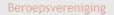 Beroepsvereniging